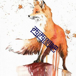 西西图吧