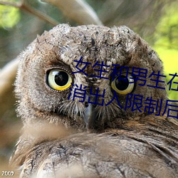 女生和男生(shēng)在一起怼怼怼游戏自取消出入(rù)限制后(hòu)人气暴涨(zhǎng)!
