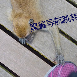 黑鲨导航跳转网页 （导演）