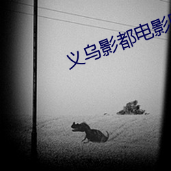 义乌影都电影院