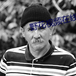 野花视频在线观看