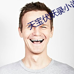 天寶伏妖錄小說