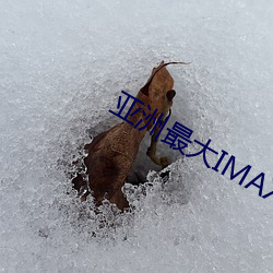 亚洲(zhōu)最(zuì)大IMAX影院(yuàn)