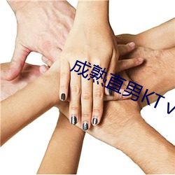 成熟直男KTⅴ飛機