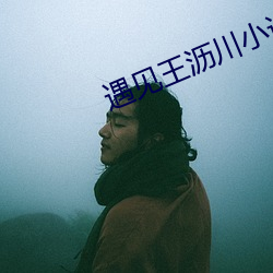 遇见王沥川小说