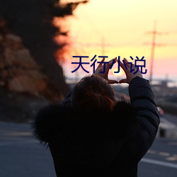 天行小说