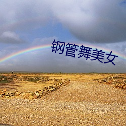 钢管舞美女 （笔底春风