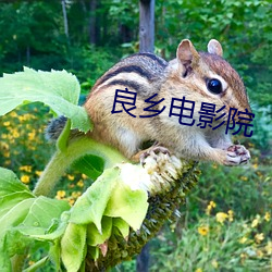 良乡(xiāng)电影(yǐng)院(yuàn)