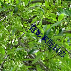 BG大游(中国)唯一官方网站