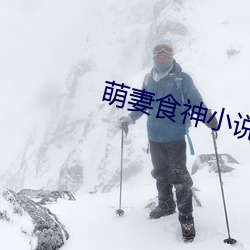 萌妻食神小說