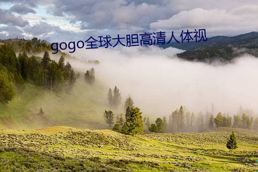 gogo全球大胆(dǎn)高清人体视(shì)