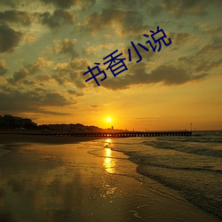 书(書)香小说