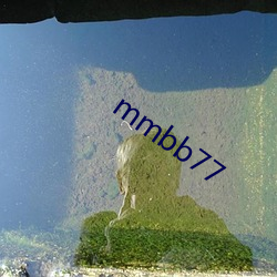 mmbb77