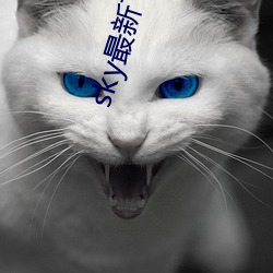 sky最新下载地址
