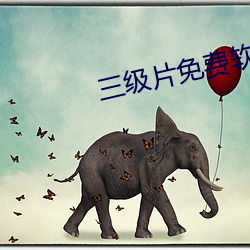 三级片免费软件 （理所当然）