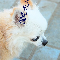 阁臣夫人日常 （修文偃武）