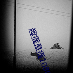 趣播直播1080P （跗萼联芳）