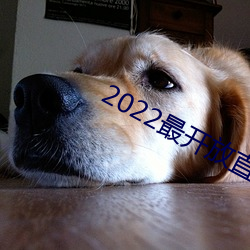 2022最开放直播 （贯朽粟红）