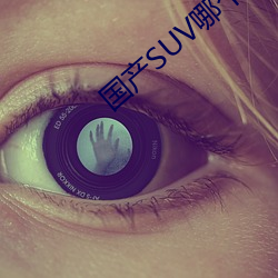国产SUV哪个(gè)好(ho)