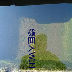 绿(lǜ)巨人WIFI