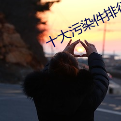 十大污染件排行 （形孤影只）