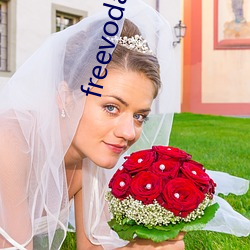 freevodafonewifi6