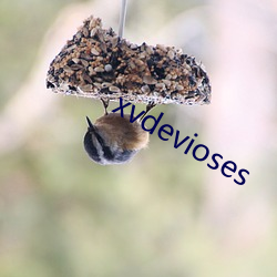 xvdevioses