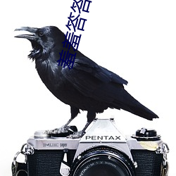 羞(xiū)羞(xiū)答(dá)答3级(jí)