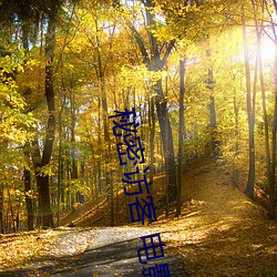 秘(秘)密访客 电(電)影