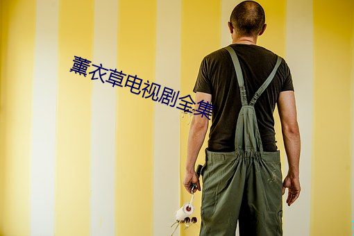 薰衣草电视剧全集
