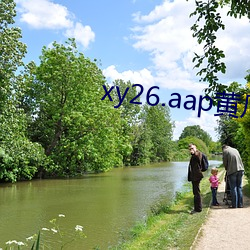 xy26.aap黄瓜