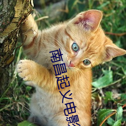 南昌起义电影