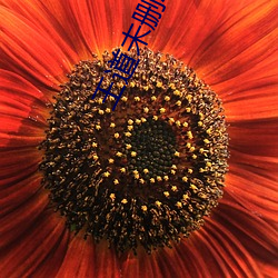 AG真人平台(中国)官方网站