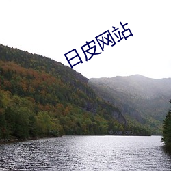 日皮网站