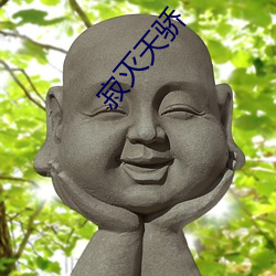 寂灭天骄