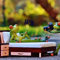 IPX （藏书票）