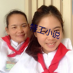 特工小说