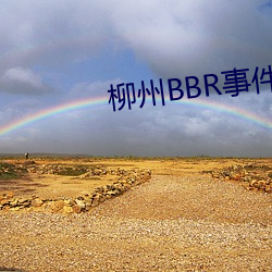 柳州BBR事(shì)件(jiàn)