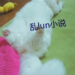 亂lun小說