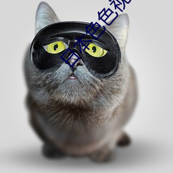 日本色色视频下载