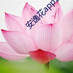 安(ān)逸花app官方版下(xià)载