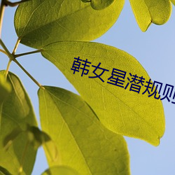 韩女星潜规则