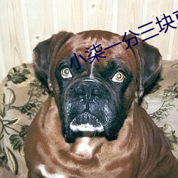 尊龙凯时·(中国)官方网站