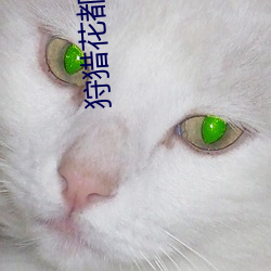 狩猎花都