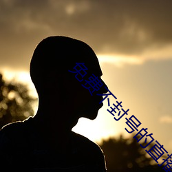 免费不封(封)号的(的)直播