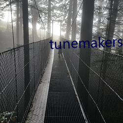 tunemakers日本