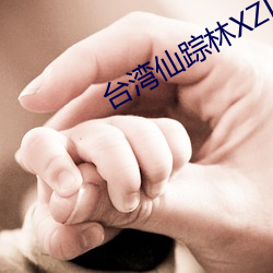 BG大游(中国)唯一官方网站