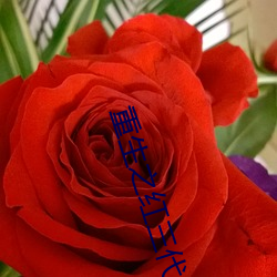 重生之红三代 （鸿轩凤翥）