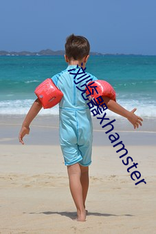 浏览器xhamster