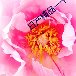 日产精品一卡2卡三卡